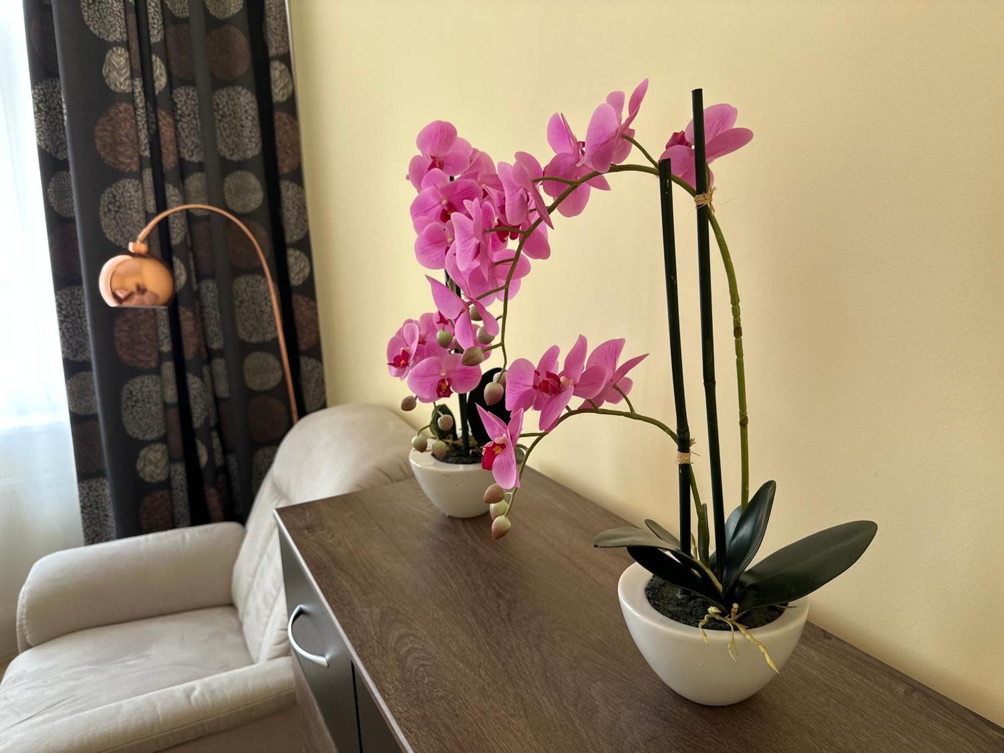 Apartment Zeyerova4 Карлови Вари Екстериор снимка